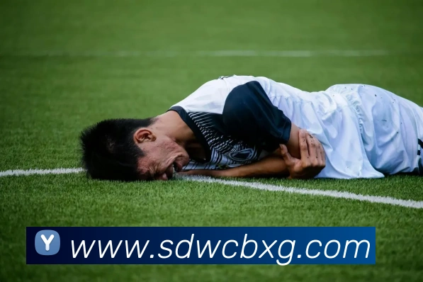 多媒体互动体验