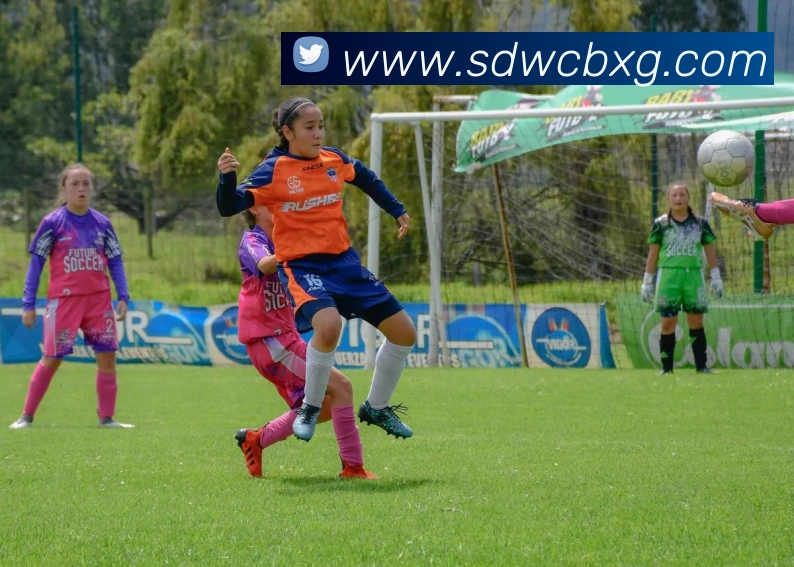 博雅app官方下载入口APP 高清赛事图